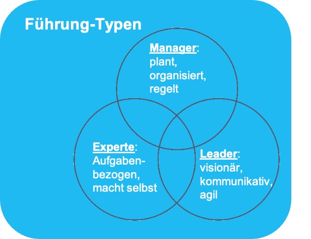 Fuehrungs-Typen neu.jpg